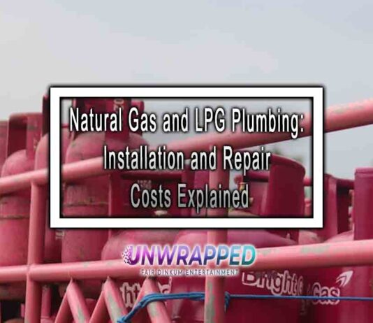 Natural Gas and LPG Plumbing: Installation and Repair Costs Explained