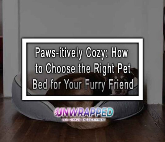 Paws-itively Cozy: How to Choose the Right Pet Bed for Your Furry Friend Paws-itively Cozy: How to Choose the Right Pet Bed for Your Furry Friend