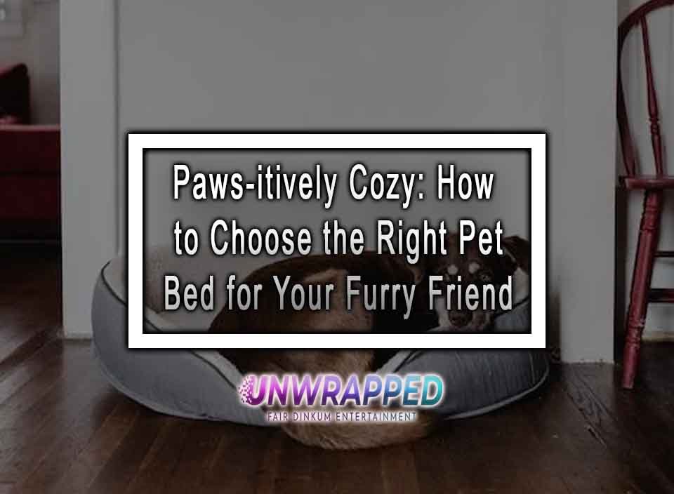 Pawsitively Cozy How to Choose the Right Pet Bed for Your Furry Friend