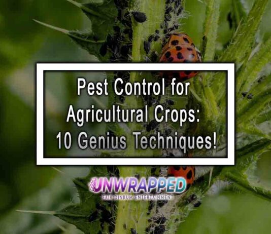 Pest Control for Agricultural Crops: 10 Genius Techniques!