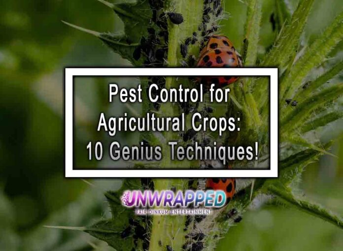 Pest Control for Agricultural Crops: 10 Genius Techniques!