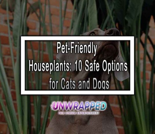 Pet-Friendly Houseplants: 10 Safe Options for Cats and Dogs