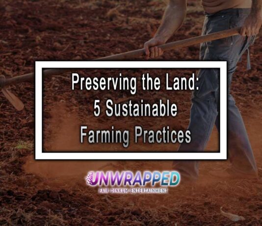Preserving the Land: 5 Sustainable Farming Practices