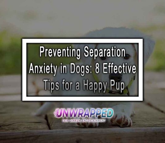 Preventing Separation Anxiety in Dogs: 8 Effective Tips for a Happy Pup