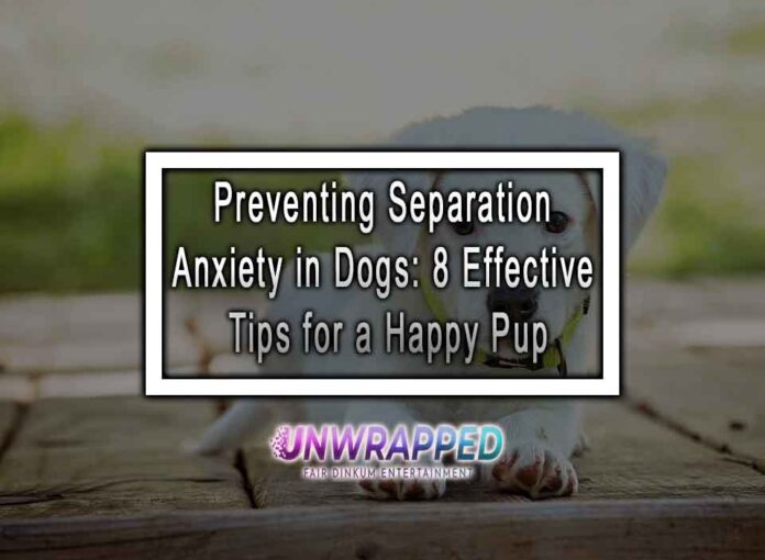 Preventing Separation Anxiety in Dogs: 8 Effective Tips for a Happy Pup