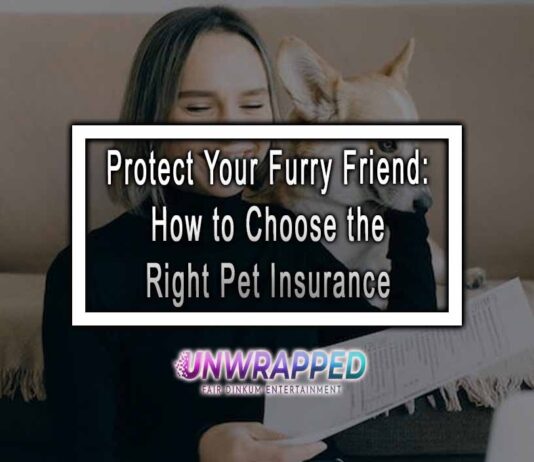 Protect Your Furry Friend: How to Choose the Right Pet Insurance Protect Your Furry Friend: How to Choose the Right Pet Insurance
