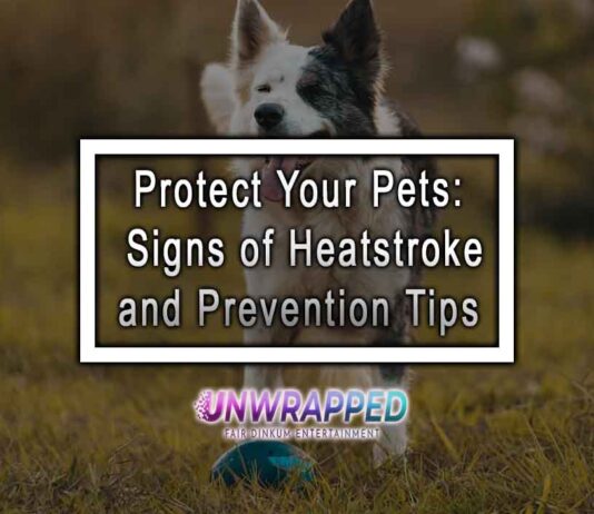 Protect Your Pets: Signs of Heatstroke and Prevention Tips