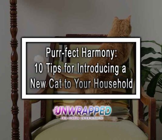 Purr-fect Harmony: 10 Tips for Introducing a New Cat to Your Household