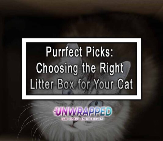 Purrfect Picks: Choosing the Right Litter Box for Your Cat Purrfect Picks: Choosing the Right Litter Box for Your Cat