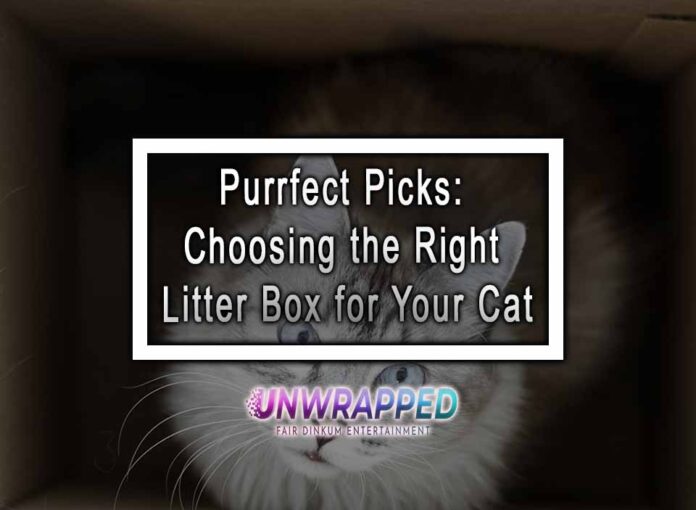 Purrfect Picks: Choosing the Right Litter Box for Your Cat