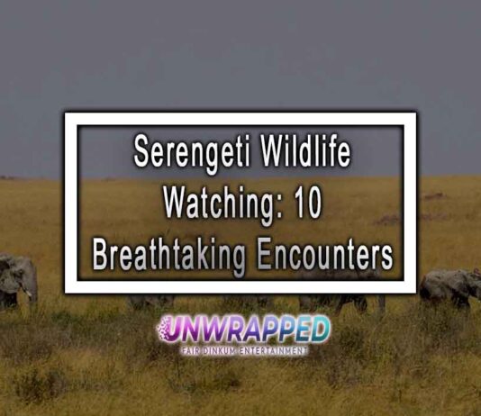 Serengeti Wildlife Watching: 10 Breathtaking Encounters