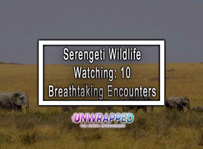 Serengeti Wildlife Watching: 10 Breathtaking Encounters