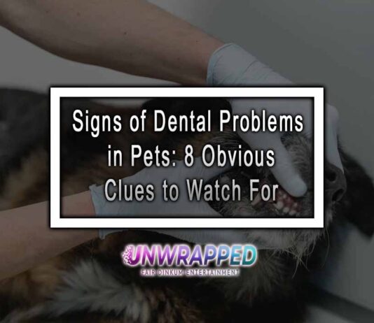 Signs of Dental Problems in Pets: 8 Obvious Clues to Watch For