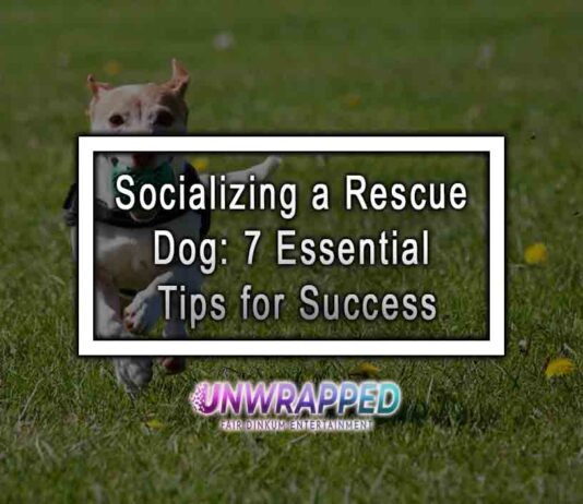 Socializing a Rescue Dog: 7 Essential Tips for Success