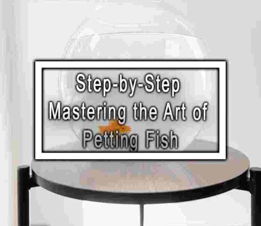Step-by-Step Mastering the Art of Petting Fish