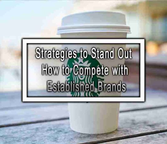 Strategies to Stand Out How to Compete with Established Brands