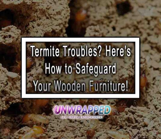 Termite Troubles? Here's How to Safeguard Your Wooden Furniture!
