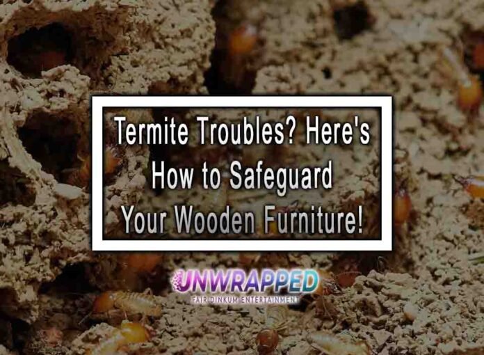 Termite Troubles? Here's How to Safeguard Your Wooden Furniture!