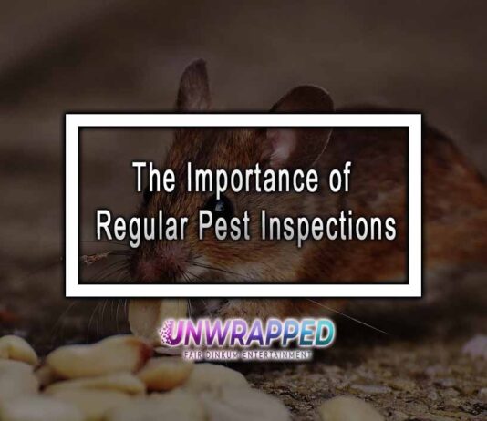 The Importance of Regular Pest Inspections
