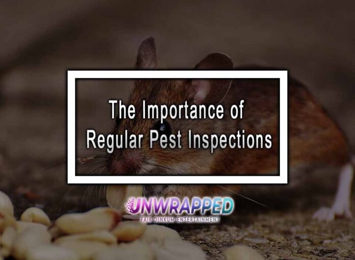 The Importance of Regular Pest Inspections