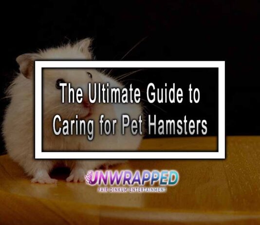 The Ultimate Guide to Caring for Pet Hamsters