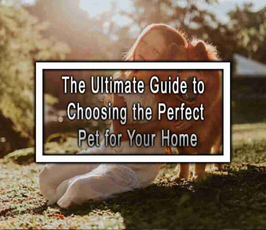 The Ultimate Guide to Choosing the Perfect Pet for Your Home