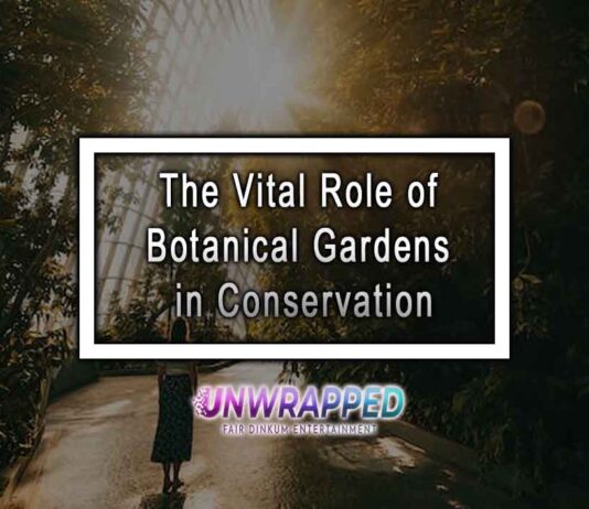 The Vital Role of Botanical Gardens in Conservation