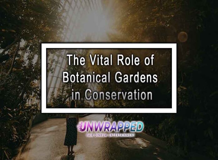 The Vital Role of Botanical Gardens in Conservation