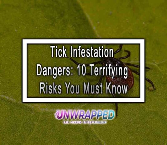 Tick Infestation Dangers: 10 Terrifying Risks You Must Know Tick Infestation Dangers: 10 Terrifying Risks You Must Know