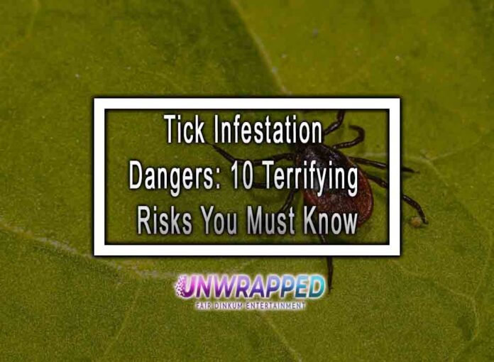 Tick Infestation Dangers: 10 Terrifying Risks You Must Know