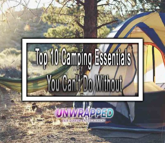 Top 10 Camping Essentials You Can't Do Without