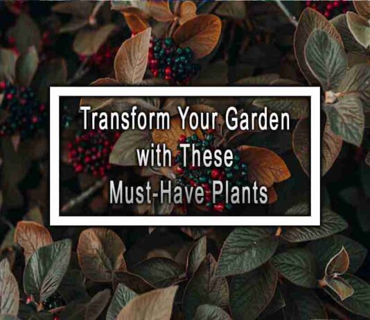 Transform Your Garden with These Must-Have Plants
