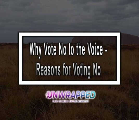 Why Vote No to the Voice - Reasons for Voting No