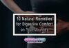 10 Natural Remedies for Digestive Comfort on Your Journey