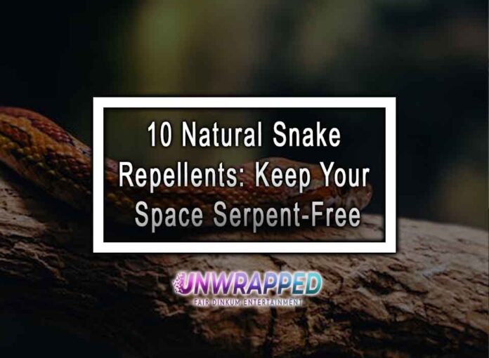 10 Natural Snake Repellents Keep Your Space Serpent-Free 10 Natural Snake Repellents: Keep Your Space Serpent-Free