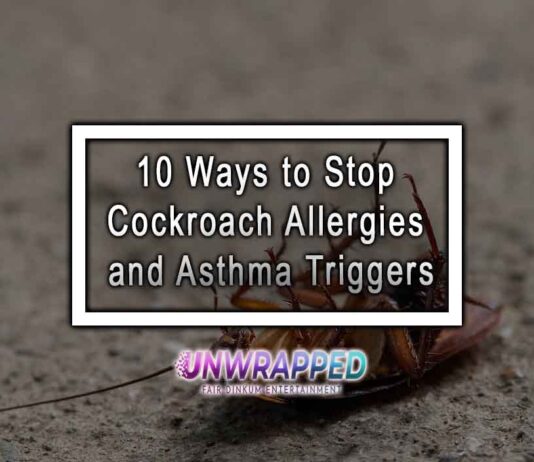 10 Ways to Stop Cockroach Allergies and Asthma Triggers 10 Ways to Stop Cockroach Allergies and Asthma Triggers