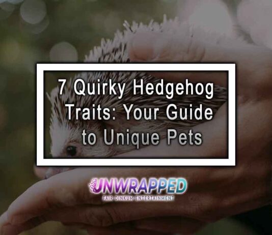 7 Quirky Hedgehog Traits: Your Guide to Unique Pets