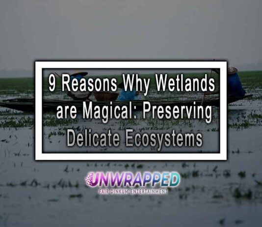 9 Reasons Why Wetlands are Magical: Preserving Delicate Ecosystems