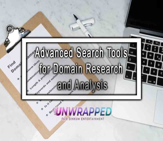 Advanced Search Tools for Domain Research and Analysis