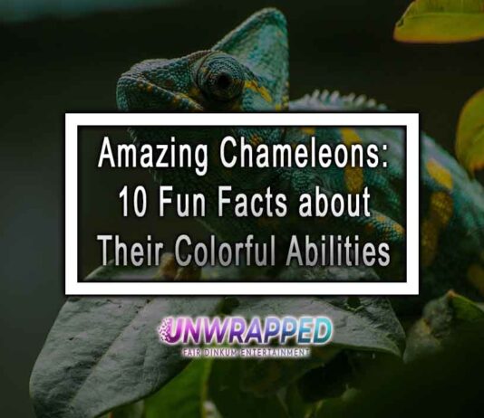 Amazing Chameleons: 10 Fun Facts about Their Colorful Abilities Amazing Chameleons: 10 Fun Facts about Their Colorful Abilities