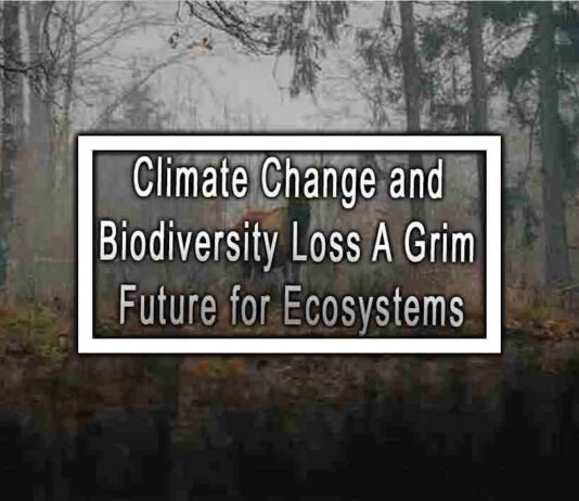 Climate Change and Biodiversity Loss A Grim Future for Ecosystems