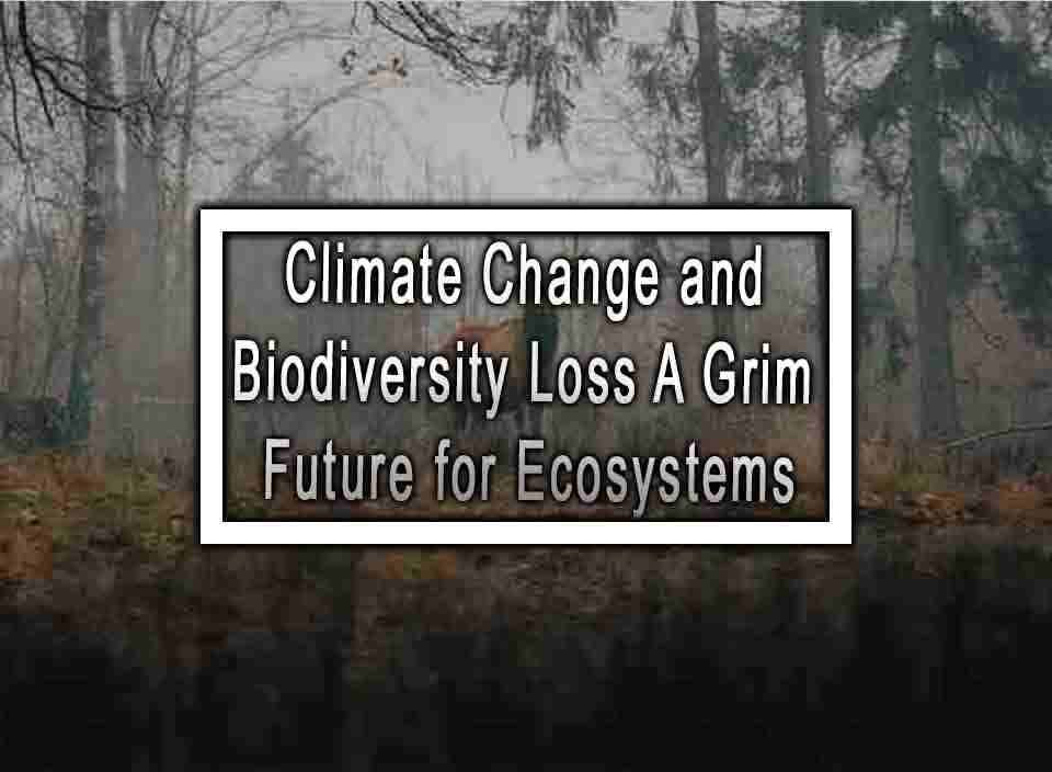 Climate Change And Biodiversity Loss A Grim Future For Ecosystems