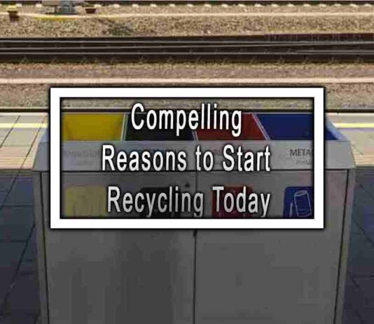 Compelling Reasons to Start Recycling Today
