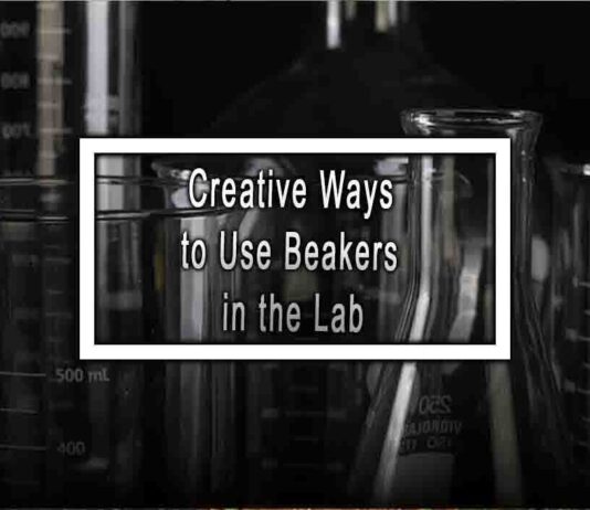Creative Ways to Use Beakers in the Lab