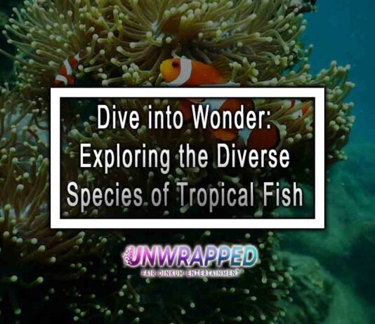 Dive into Wonder: Exploring the Diverse Species of Tropical Fish