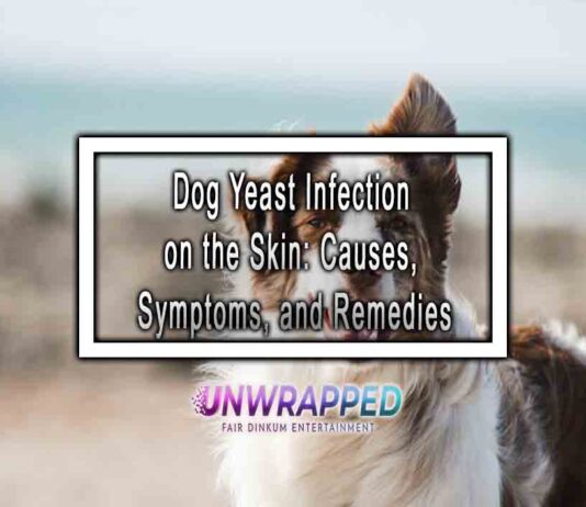 Dog Yeast Infection on the Skin: Causes, Symptoms, and Remedies