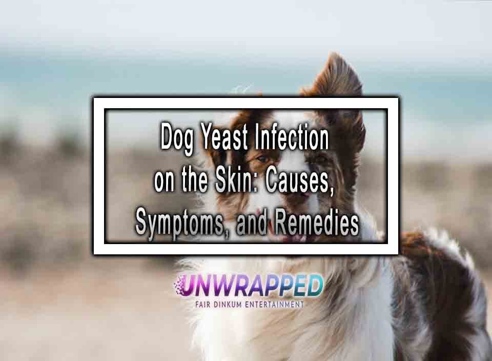 dog-skin-yeast-infection-how-to-treat-dog-skin-yeast-infection