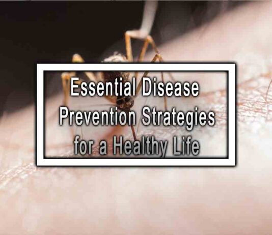 Essential Disease Prevention Strategies for a Healthy Life