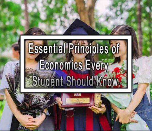 Essential Principles of Economics Every Student Should Know