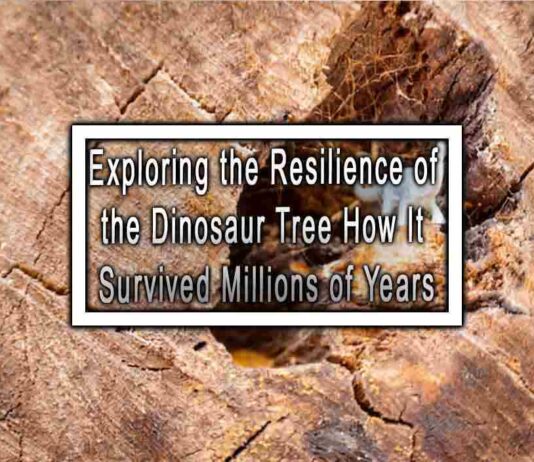 Exploring the Resilience of the Dinosaur Tree How It Survived Millions of Years